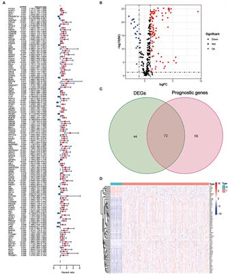 Identification of Aging-Related Genes Associated With Clinical and Prognostic Features of Hepatocellular Carcinoma